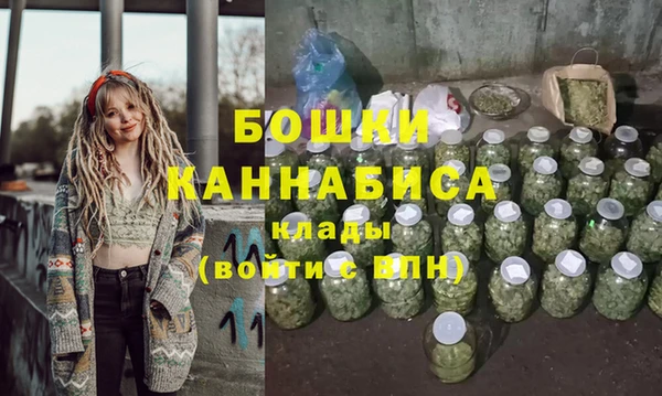 индика Семёнов