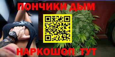 шишки Конаково