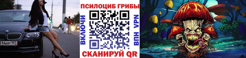 где можно купить наркотик  Заволжье  Галлюциногенные грибы Magic Shrooms 